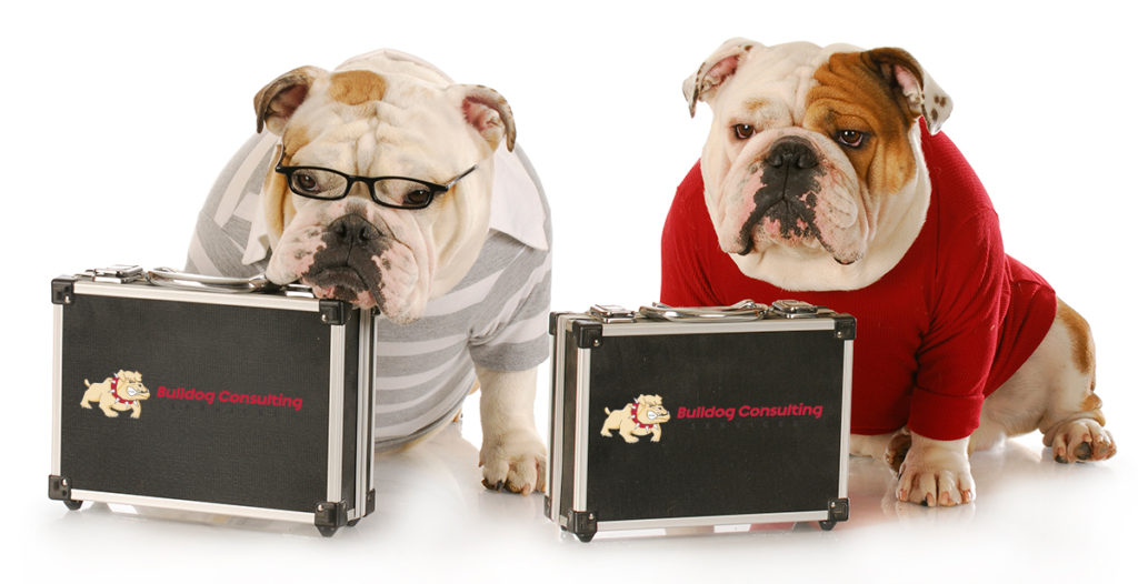 Bulldogs with Briefcases